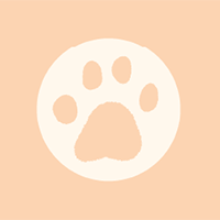 小型犬