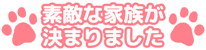 素敵な家族が決まりました