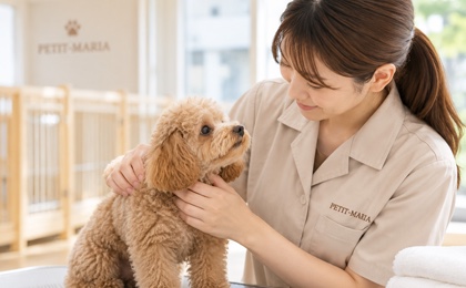 子犬の体調を確認するブリーディングスタッフ