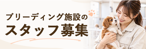 ブリーディング施設のスタッフ募集