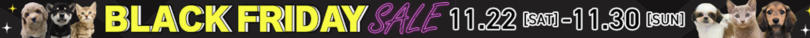 ブラックフライデー