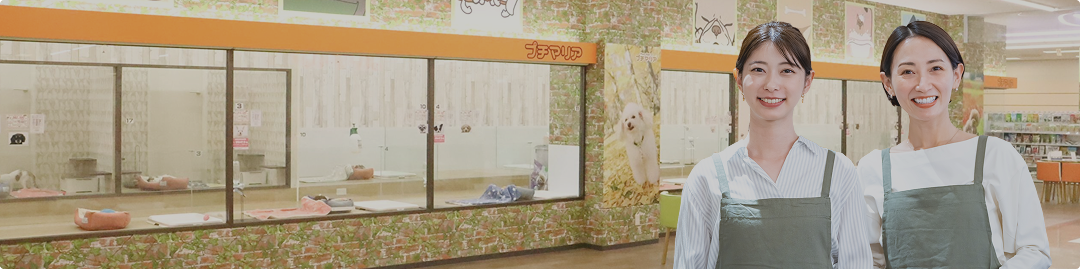 正社員・アルバイト求人情報はこちら