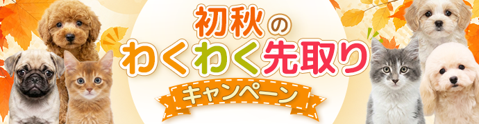 初秋のわくわく先取りキャンペーン