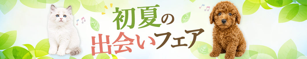 価格を見直しました
