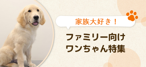 【家族大好き！】ファミリー向けワンちゃん特集