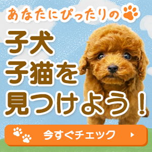 あなたにぴったりの子犬・子猫を見つけよう！