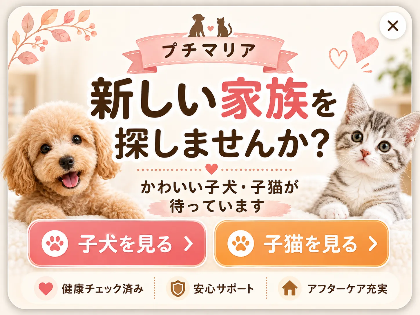 新しい家族を探しませんか？
