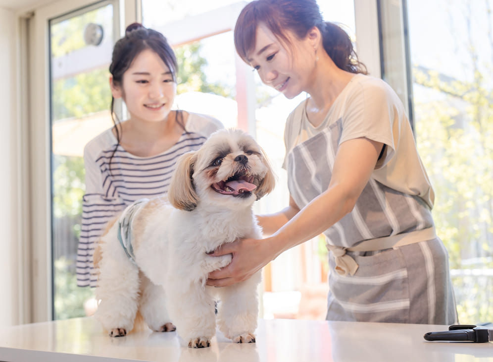 未経験でも挑戦できる環境