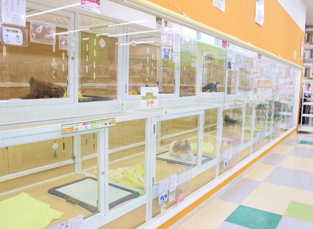 衛生的な環境で気持ち良い空間