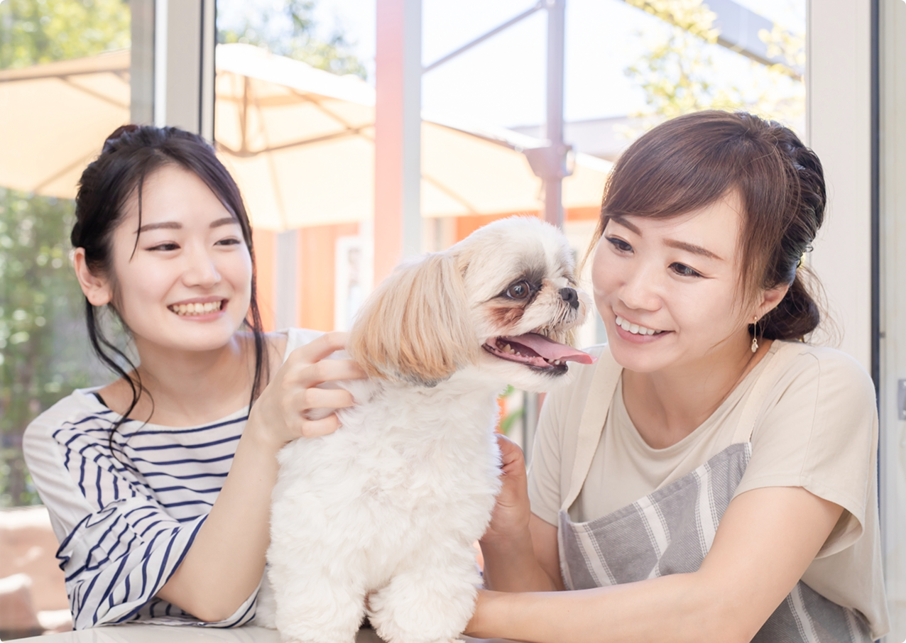 犬を抱くスタッフ