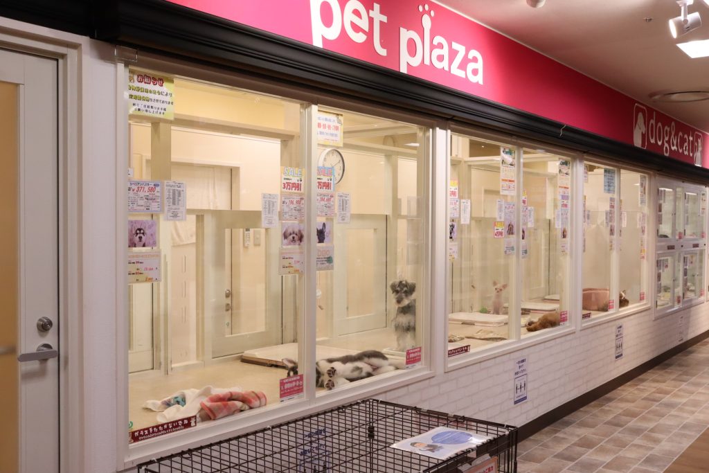  T-FACE豊田店