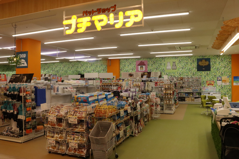イオン袋井店