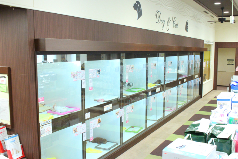 永田台店内1.JPG