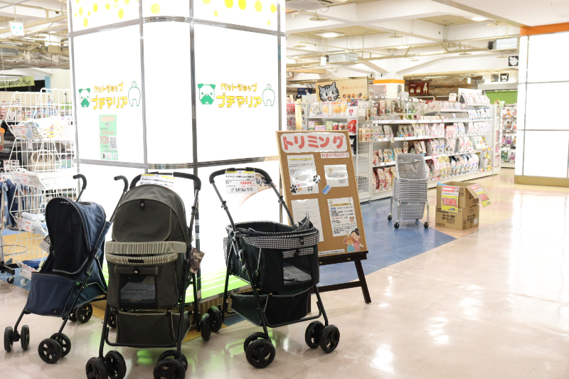岐阜羽島店
