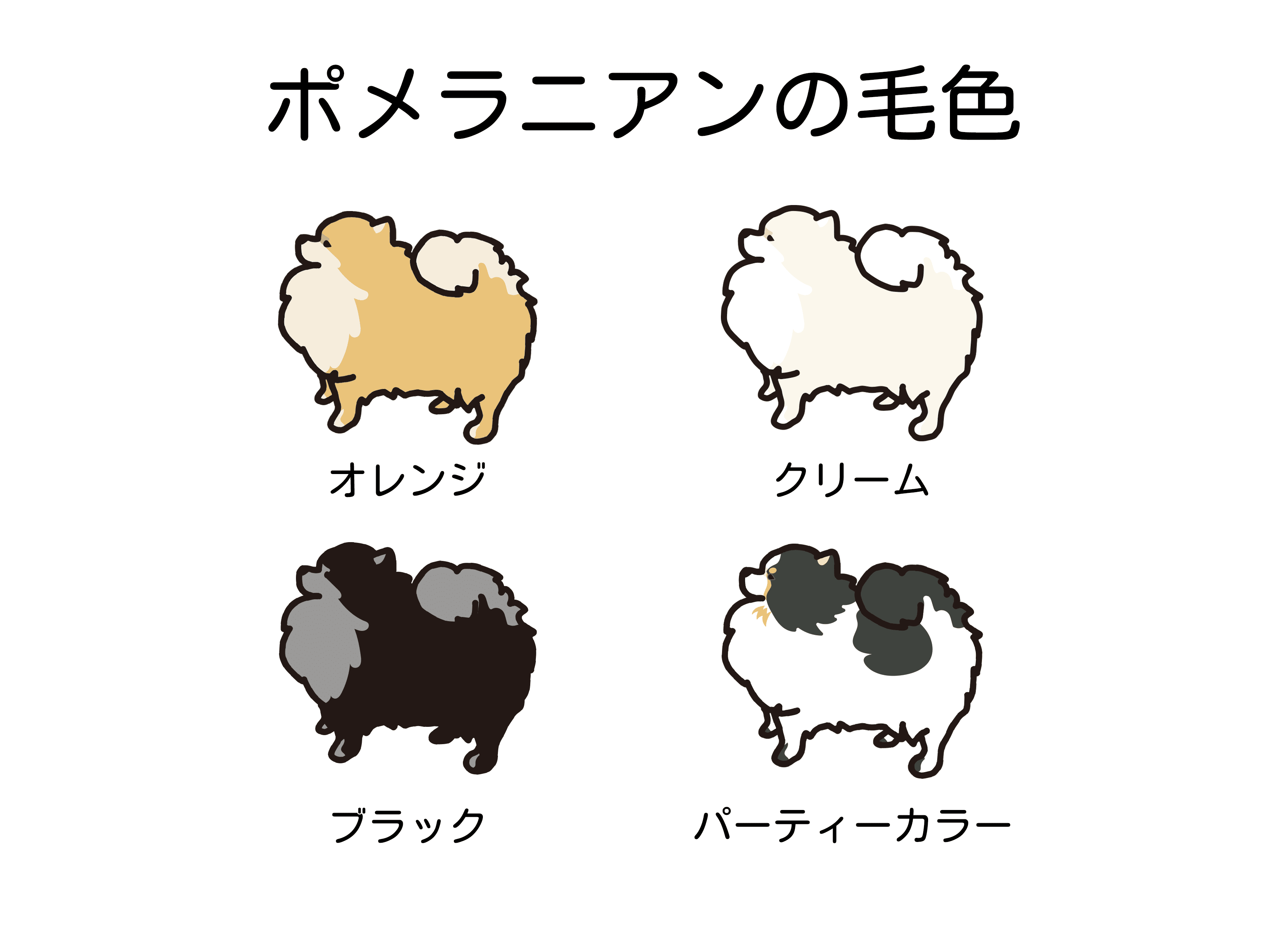 詳細画像