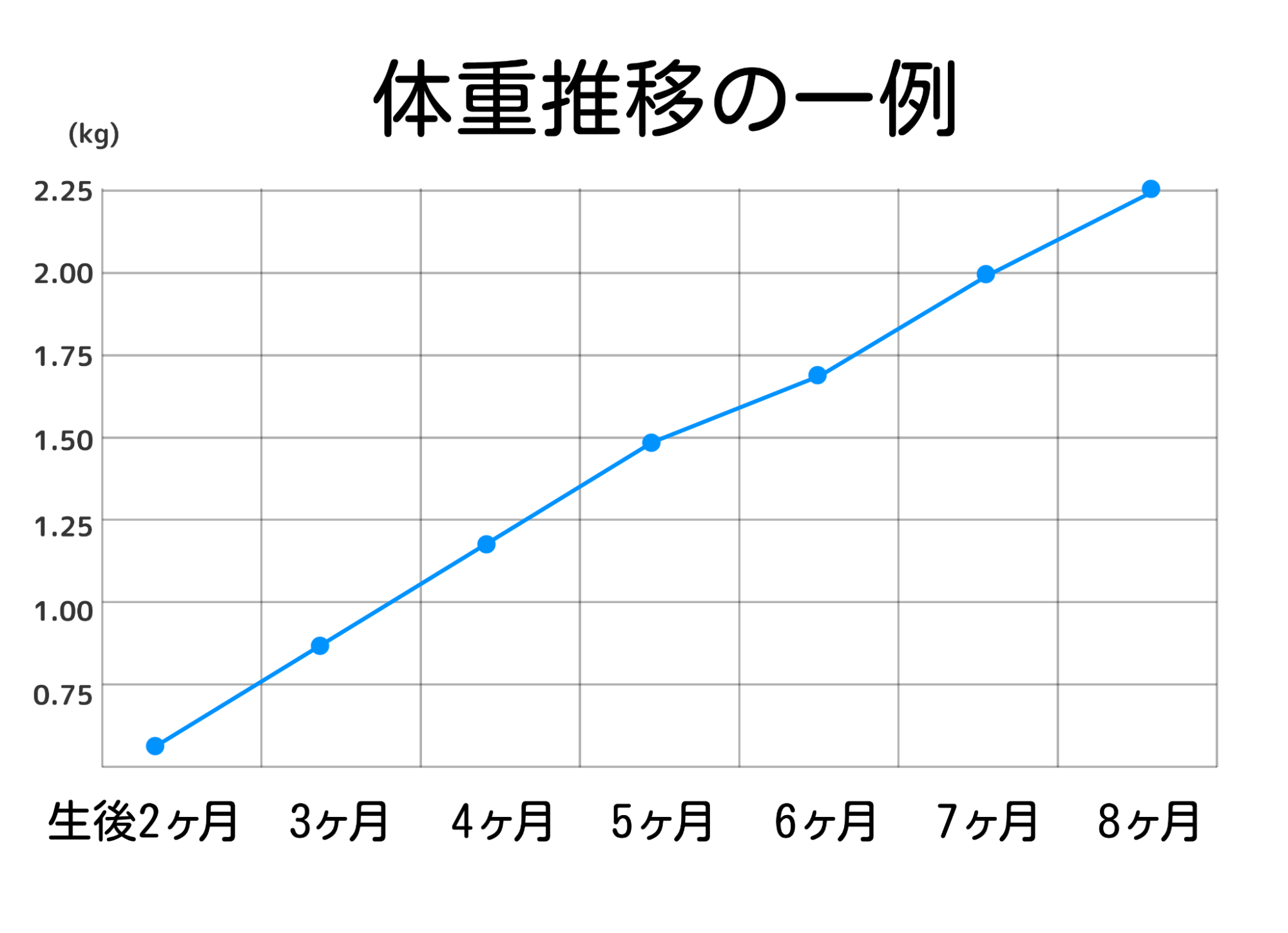 詳細画像