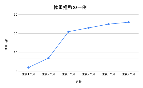 詳細画像