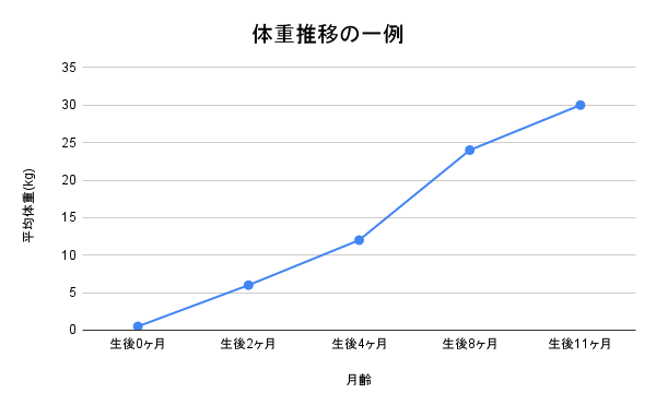詳細画像