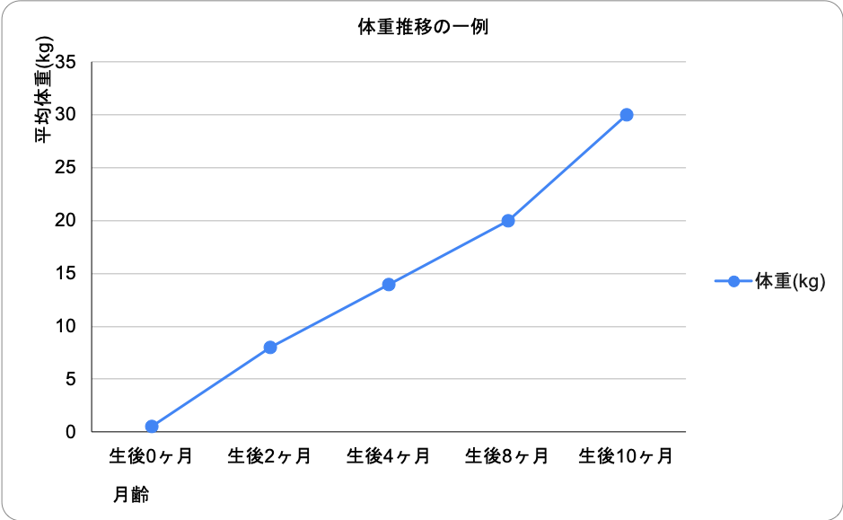 詳細画像