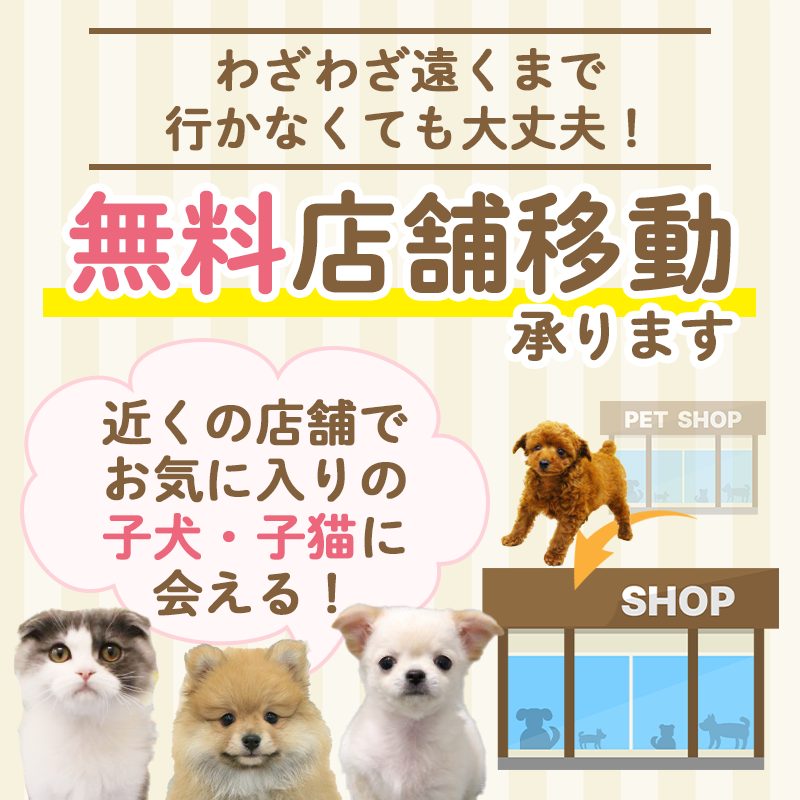 わざわざ遠くまで行かなくても大丈夫！無料店舗移動承ります