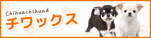 チワックス