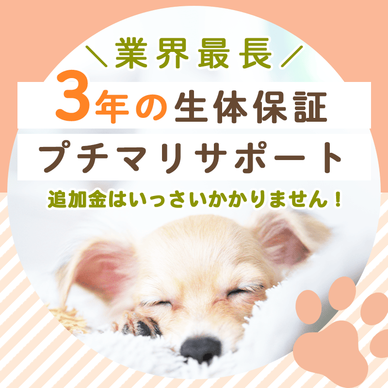 業界最長 3年の生体保証プチマリサポート