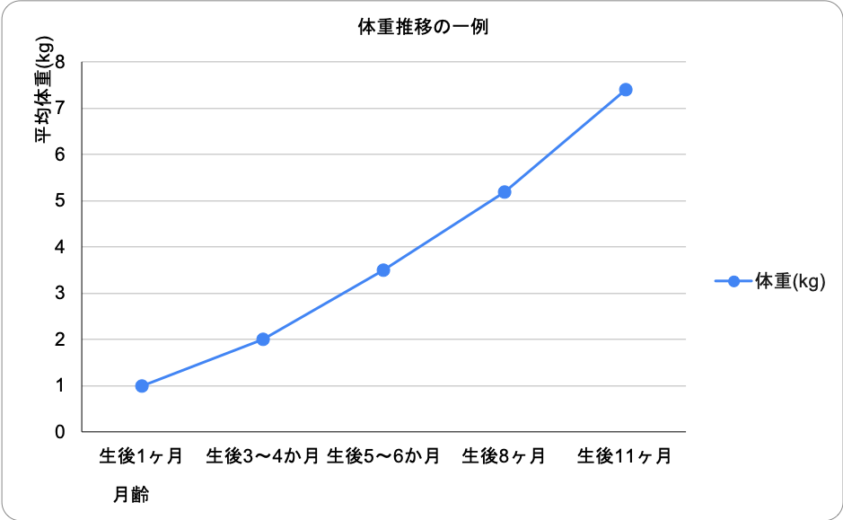 詳細画像