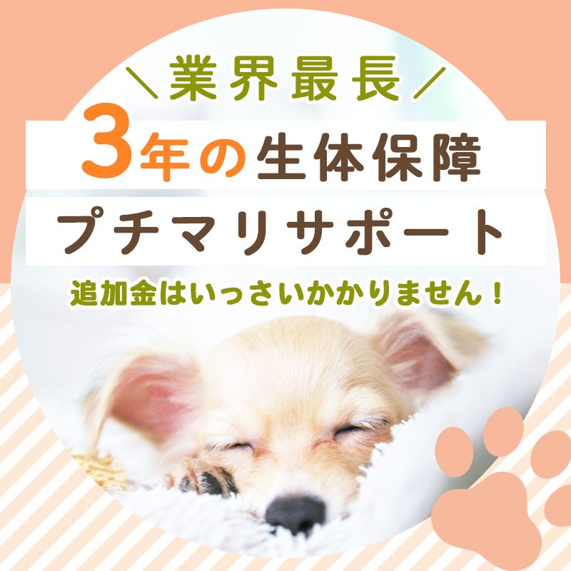 業界最長 3年の生体保障プチマリサポート