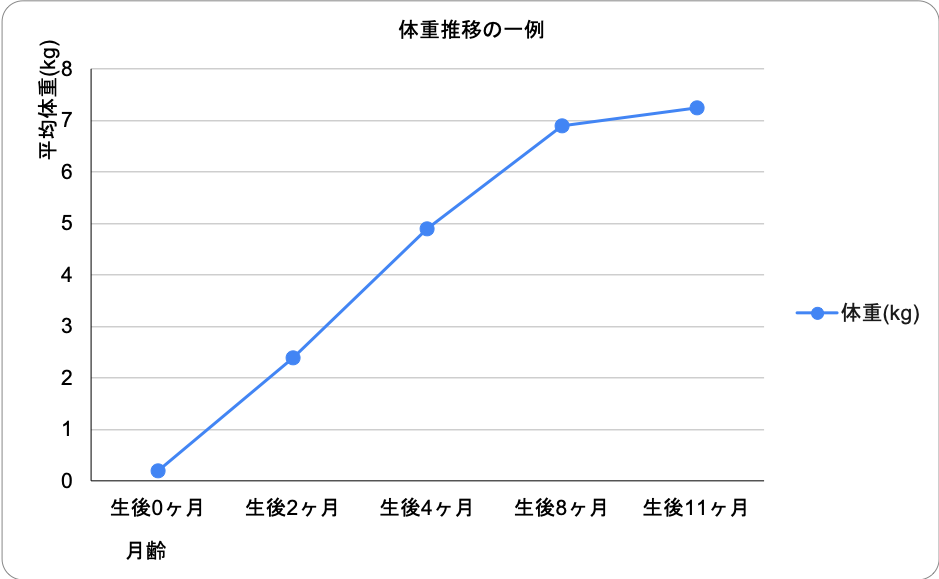 詳細画像