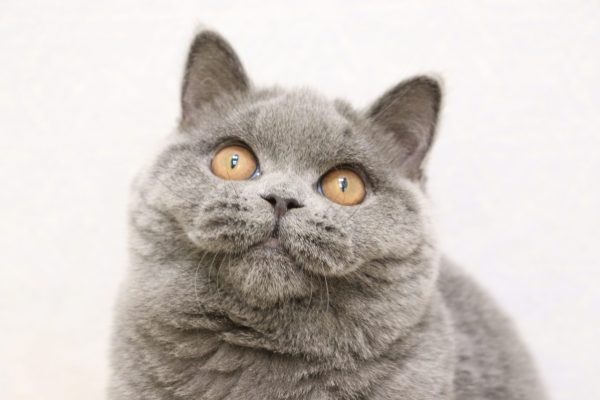 34652