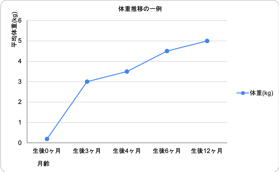詳細画像