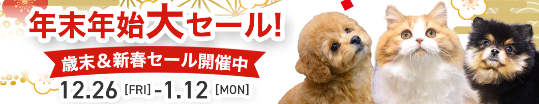 クリスマスセール