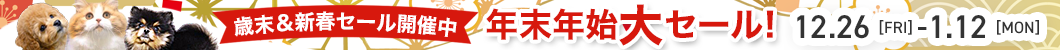 年末年始大セール