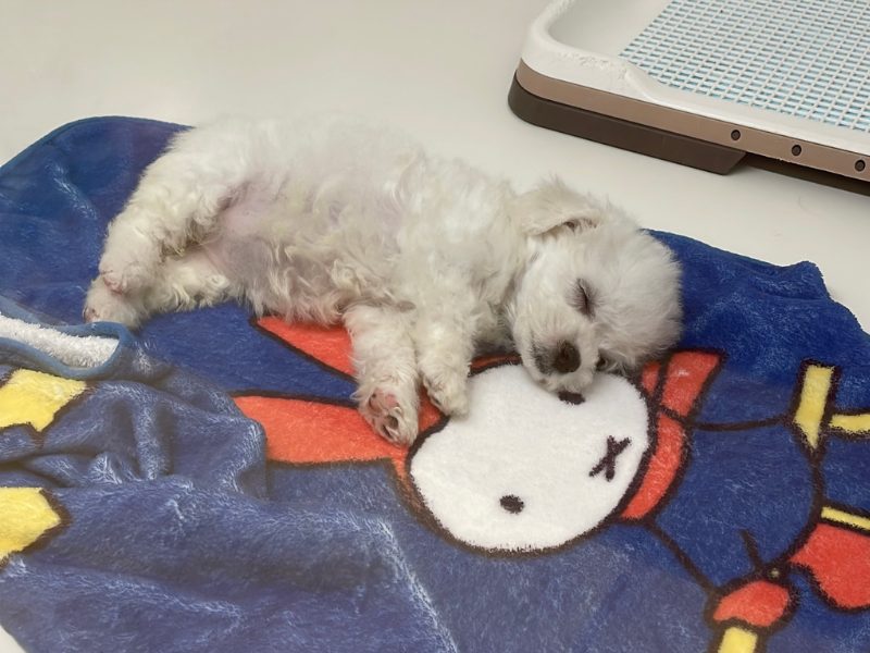 260129若葉台店HP用写真 (3).png