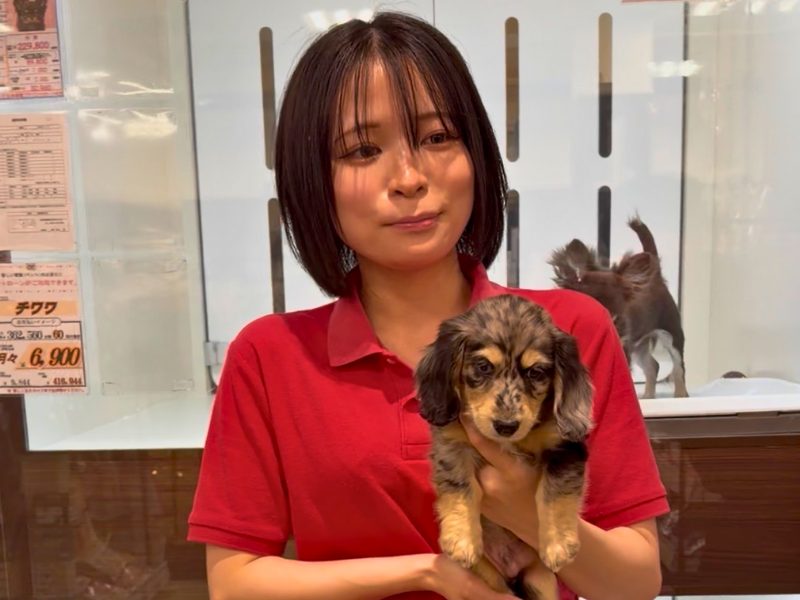 260129若葉台店HP用写真 (13).png