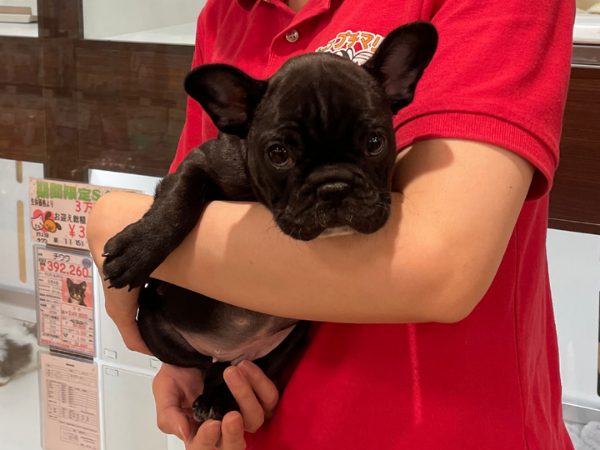 B-WEST稲城若葉台店