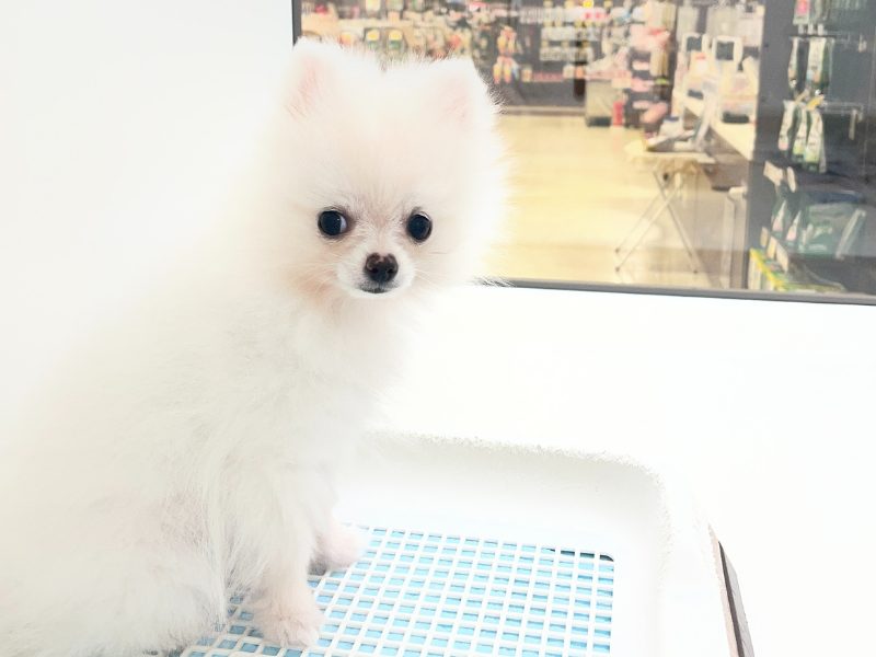 260129若葉台店HP用写真 (12).png