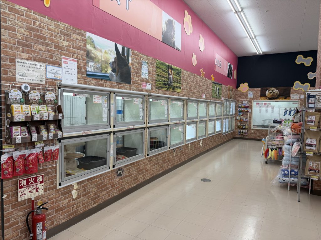 B-WEST横浜港北センター南店