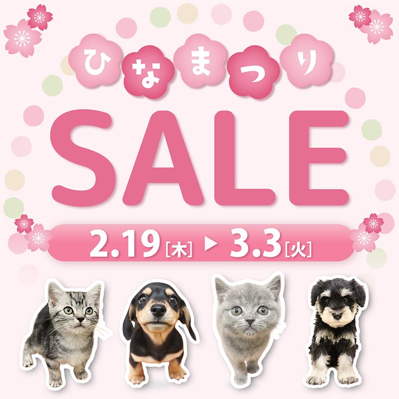 ひなまつりセール