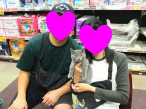 マンチカンちゃん【横浜永田台店】