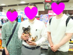チワワちゃん【横浜永田台店】