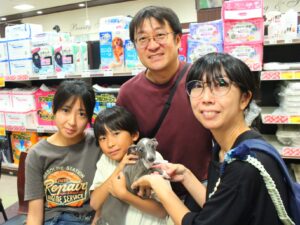 イタリアングレーハウンドちゃん【横浜永田台店】