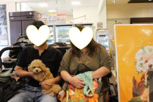 トイプードル☓マルチーズ【若葉台店】
