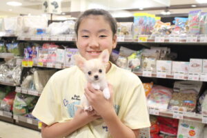 チワワ【若葉台店】