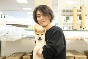柴犬　【武蔵藤沢店】