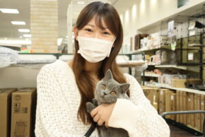 ブリティッシュ　【武蔵藤沢店】
