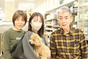 トイプードル　【武蔵藤沢店】