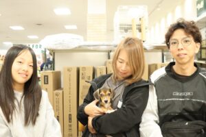 ミックス(Mダックス×ビーグル)　【武蔵藤沢店】