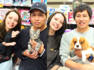 アメリカンショートヘアちゃん＆キャバリアちゃん【横浜永田台店】
