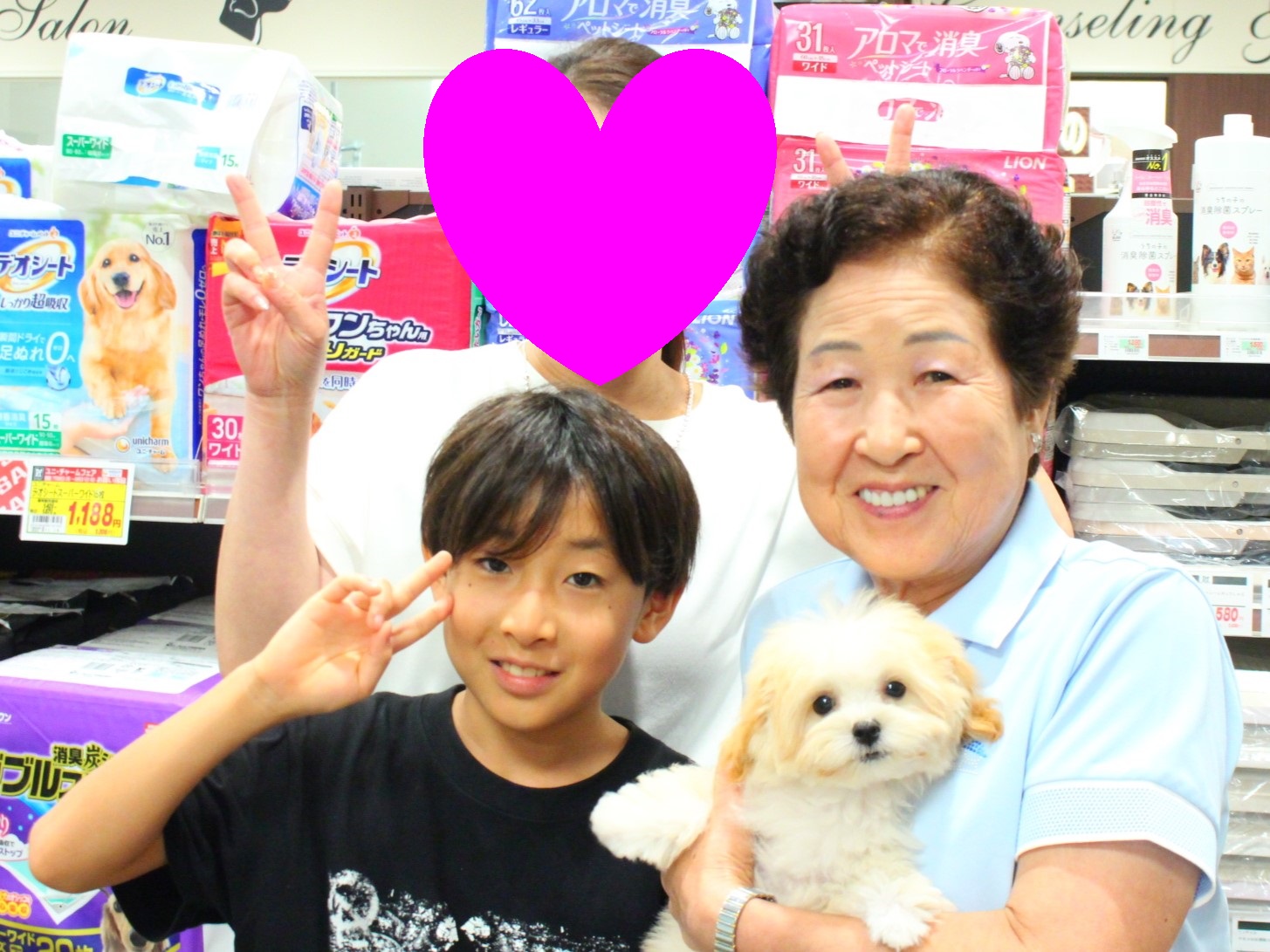 マルプーちゃん【横浜永田台店】 - 子犬・子猫をお探しならペット